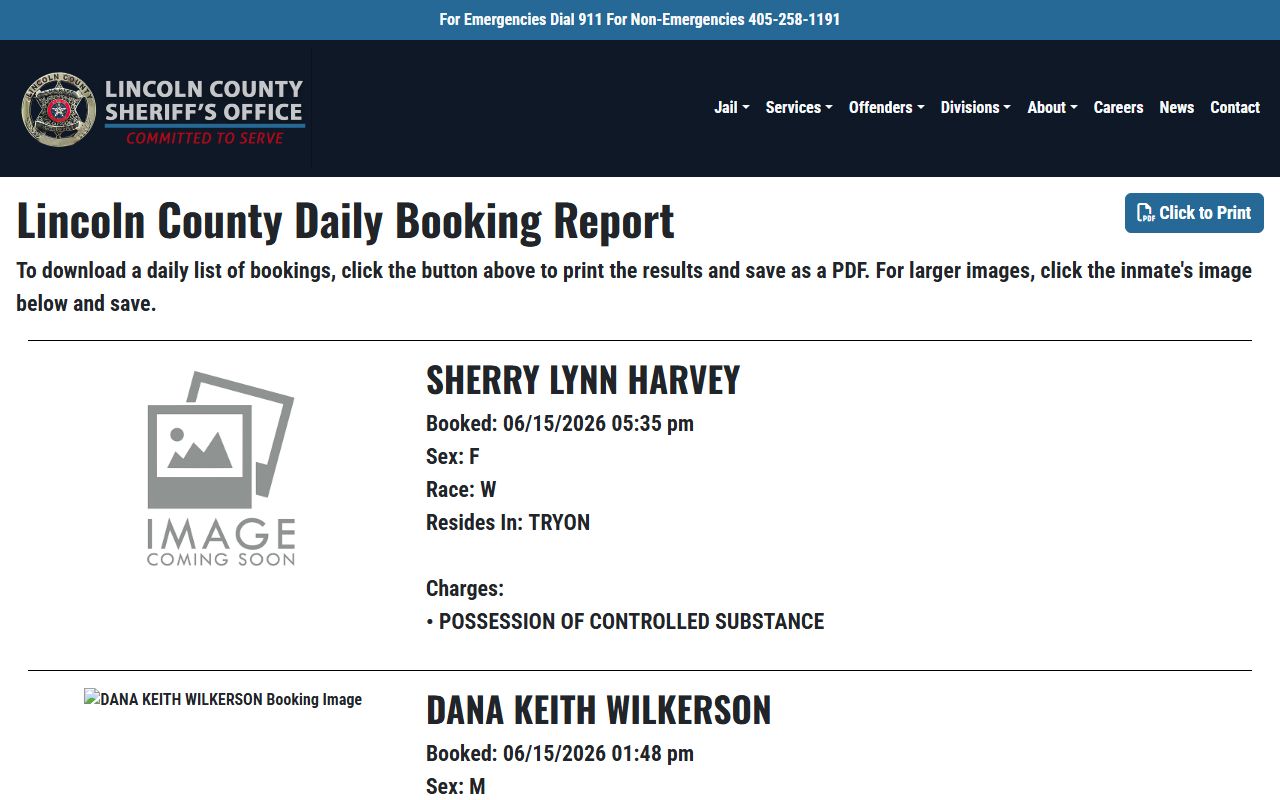 Lincoln County jail booking report